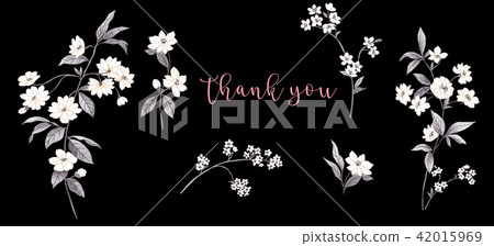 Elegant watercolor flower 42015969