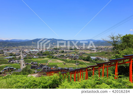 Uki Inari shrine Fukuoka prefecture Ukiha City Ukima Town _ red torii + green of the fresh green Uki Inari shrine Fukuoka prefecture Ukiha City Ukima Town _ red torii + green of the fresh green 42016284