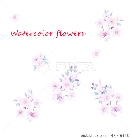 Pink watercolor flower 42016368