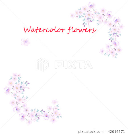 Pink watercolor flower Pink watercolor flower 42016371