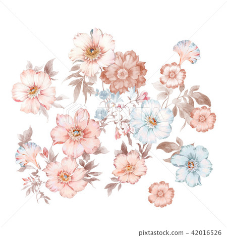 Watercolor big flower rose Watercolor big flower rose 42016526