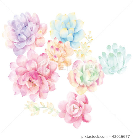 rainbow watercolor flowers