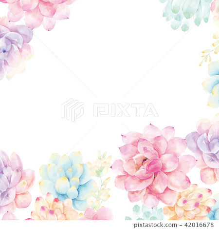 彩虹的水彩玫瑰花卉 彩虹的水彩玫瑰花卉 42016678