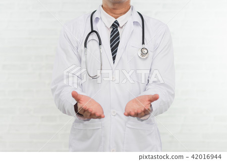 portrait of doctor on white background 42016944