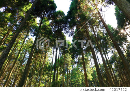 Sugiyama who was being careful Sugiyama who was being careful 42017522