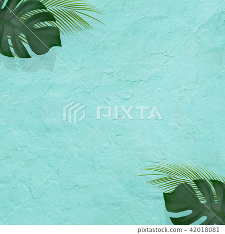 背景 - 夏天 - 熱帶 - 植物 - 藍色 背景 - 夏天 - 熱帶 - 植物 - 藍色 42018081