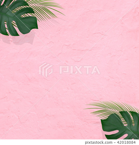 Background - Summer - Tropical - Plants - Pink 42018084