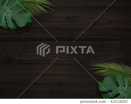 Background - Summer - Tropical - Plants - Wood grain - Wall Background - Summer - Tropical - Plants - Wood grain - Wall 42018085