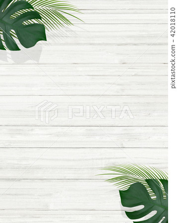 背景 - 夏天 - 熱帶 - 植物 - 白色牆壁 42018110