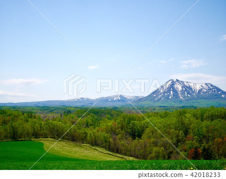 Mt. 42018233