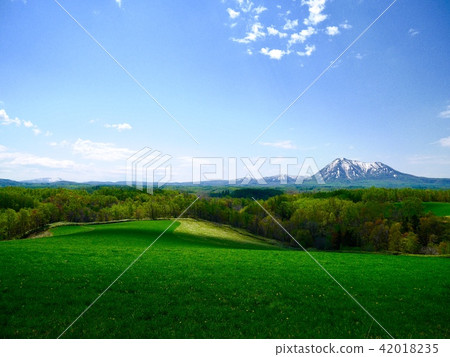 Mt. 42018235