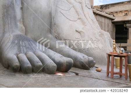 Close up of feet of the statue of Bahubali, also known as Gomateshwara, Vindhyagiri Hill Close up of feet of the statue of Bahubali, also known as Gomateshwara, Vindhyagiri Hill 42018240