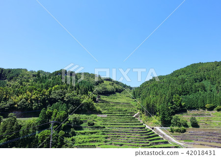 Masonry rice terrace (Yamebushi Hoshino village) It is said that in 2018 rice can not be planted due to heavy rainfall damage. Due to waterway breakage. Masonry rice terrace (Yamebushi Hoshino village) It is said that in 2018 rice can not be planted due to heavy rainfall damage. Due to waterway breakage. 42018431