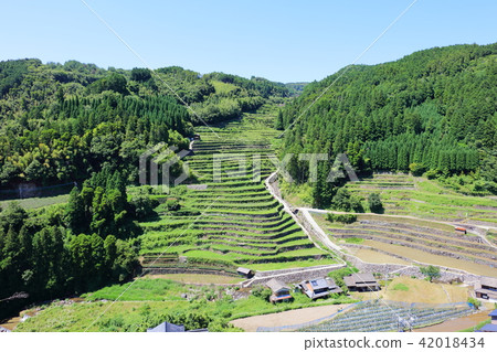 Masonry rice terrace (Yamebushi Hoshino village) It is said that in 2018 rice can not be planted due to heavy rainfall damage. Due to waterway breakage. Masonry rice terrace (Yamebushi Hoshino village) It is said that in 2018 rice can not be planted due to heavy rainfall damage. Due to waterway breakage. 42018434