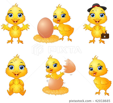Set of cute cartoon baby chick  42018685