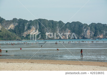 landscape of Island  , Krabi Thailand 42018691