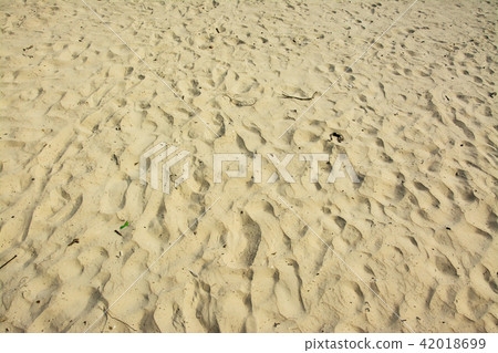 Surface of sand on the beach Surface of sand on the beach 42018699