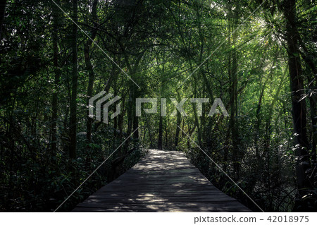 Tapom in Krabi Thailand 42018975