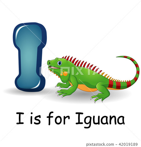 Animals alphabet: I is for Iguana  42019189