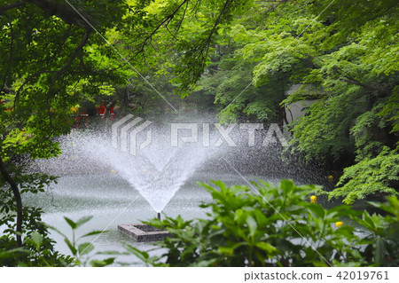 [Tokyo] Inokashira Park 42019761