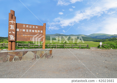 Natural treasure in Suwa, Nagano Prefecture Summer of Hachiagahara Marsh 42021681