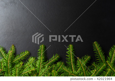 Christmas tree background 42021964