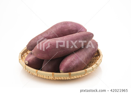 甘藷 甘藷 42021965