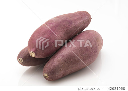 sweet potato sweet potato 42021968