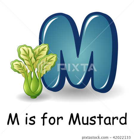 Vegetables alphabet: M is for Mustard  42022133