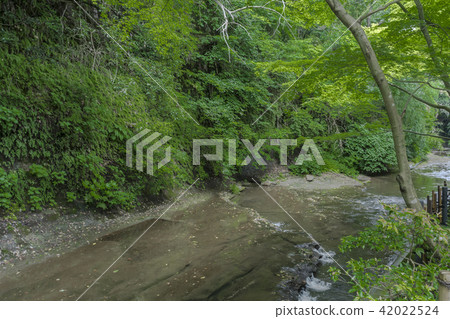 Namerikawa flowing along the garden of Ichijo Erikasanso (Kamakura City Kyoikyoji) Namerikawa flowing along the garden of Ichijo Erikasanso (Kamakura City Kyoikyoji) 42022524