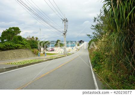 沖繩縣·Koryu Bridge Ohashi 沖繩縣·Koryu Bridge Ohashi 42023077