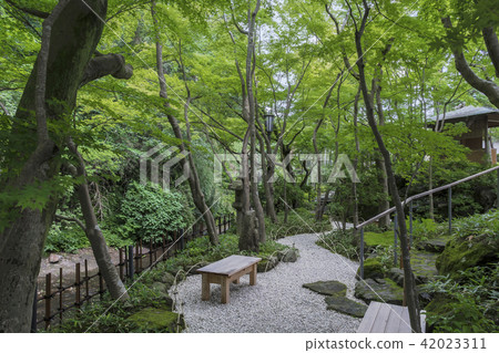 Namerikawa flowing along the garden of Ichijo Erikasanso (Kamakura City Kyoikyoji) 42023311