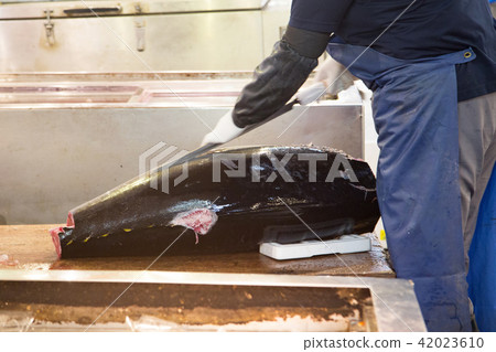 Tsukiji Inside market Market processed raw tuna Tsukiji Inside market Market processed raw tuna 42023610