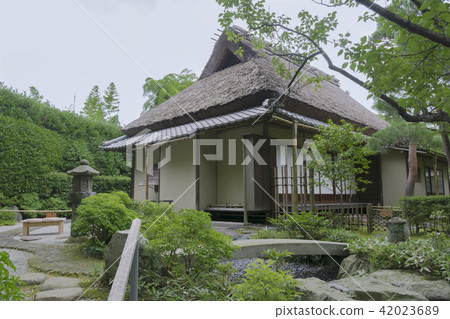 Ijyo Erikasanso (Kamakura City Kyoiki-ji) 42023689