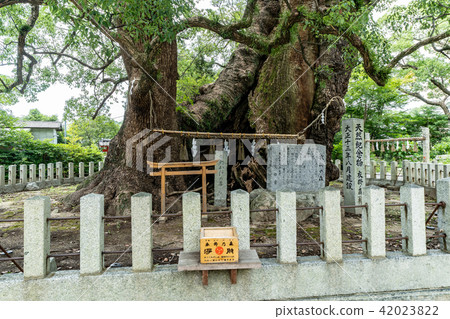 Umi Hachimangu Shrine Umi Hachimangu Shrine 42023822