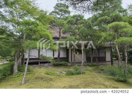 Ijyo Erikasanso（鎌倉市Kyoiki-ji） 42024052