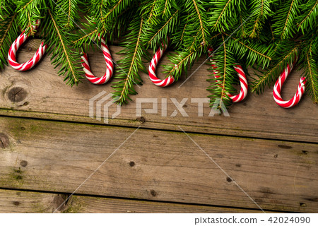 Christmas background with tree and candy canes Christmas background with tree and candy canes 42024090