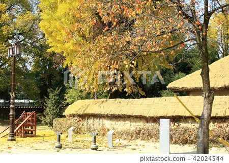 Autumn trip! Guanghun Autumn trip! Guanghun 42024544