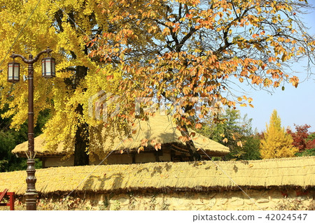 Autumn trip! Guanghun Autumn trip! Guanghun 42024547