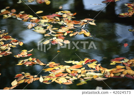 Autumn trip! Guanghun Autumn trip! Guanghun 42024573