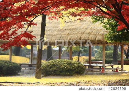 Autumn trip! Guanghun Autumn trip! Guanghun 42024596