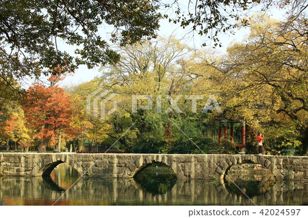 Autumn trip! Guanghun 42024597