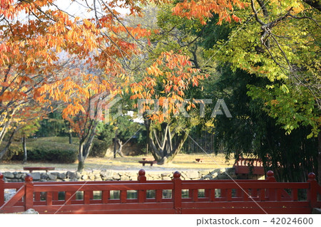Autumn trip! Guanghun Autumn trip! Guanghun 42024600