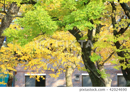 Gwanghwamun Namwon， 42024690