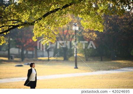 Gwanghwamun Namwon， 42024695