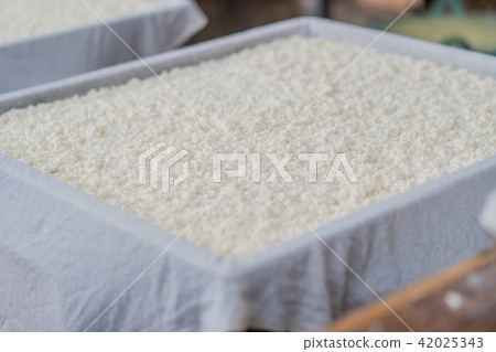 毛豆腐準備凝固 毛豆腐準備凝固 42025343