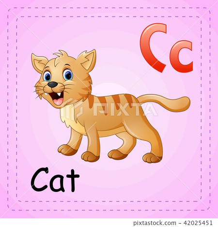 Animals alphabet: C is for Cat 42025451