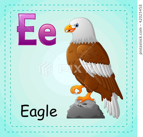 Animals alphabet: E is for Eagle 42025458