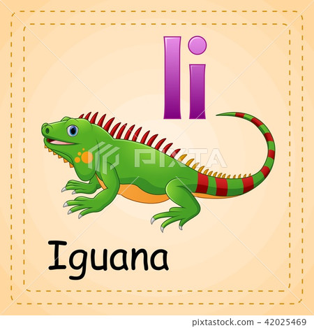 Animals alphabet: I is for Iguana Animals alphabet: I is for Iguana 42025469