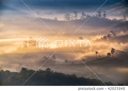 View of rice field terraced and river View of rice field terraced and river 42025848